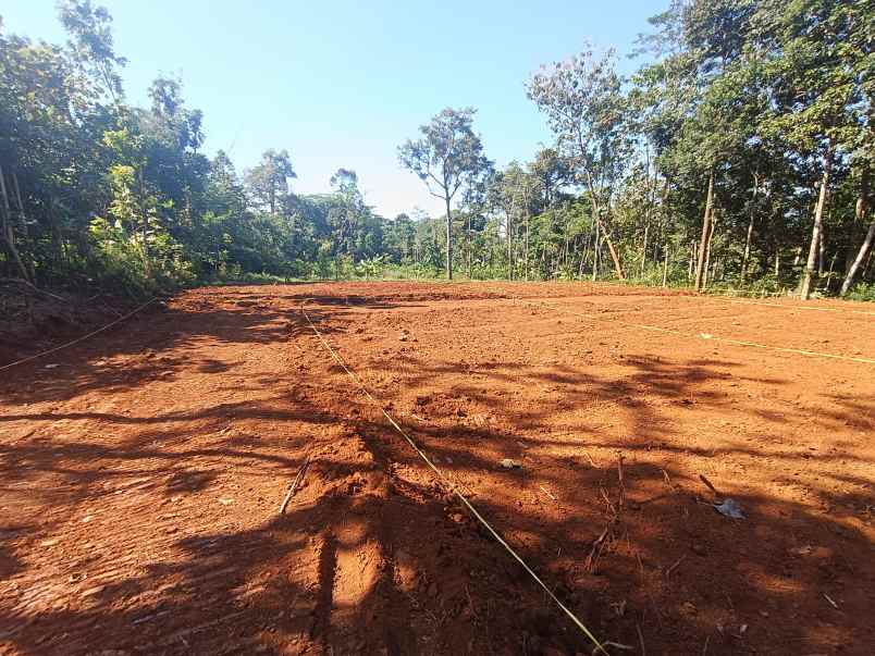 tanah dijual murah di gunungpati semarang