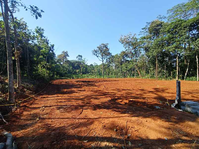 tanah dijual murah di gunungpati semarang