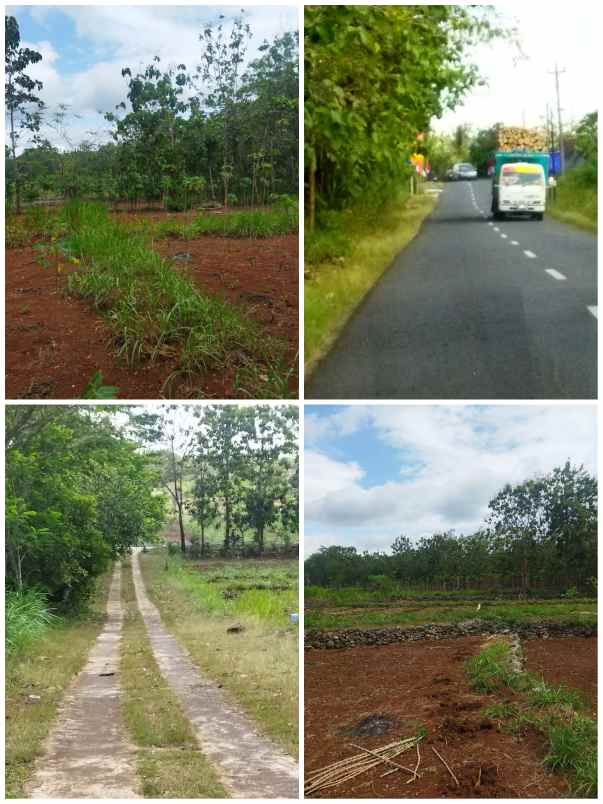 tanah gunungkidul diy