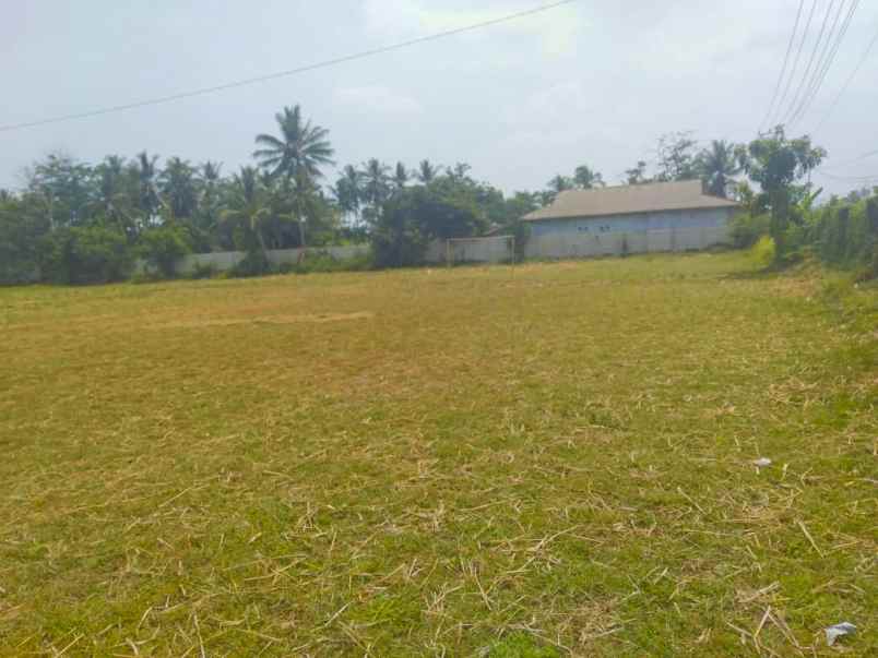 tanah jl raya labuan panimbang