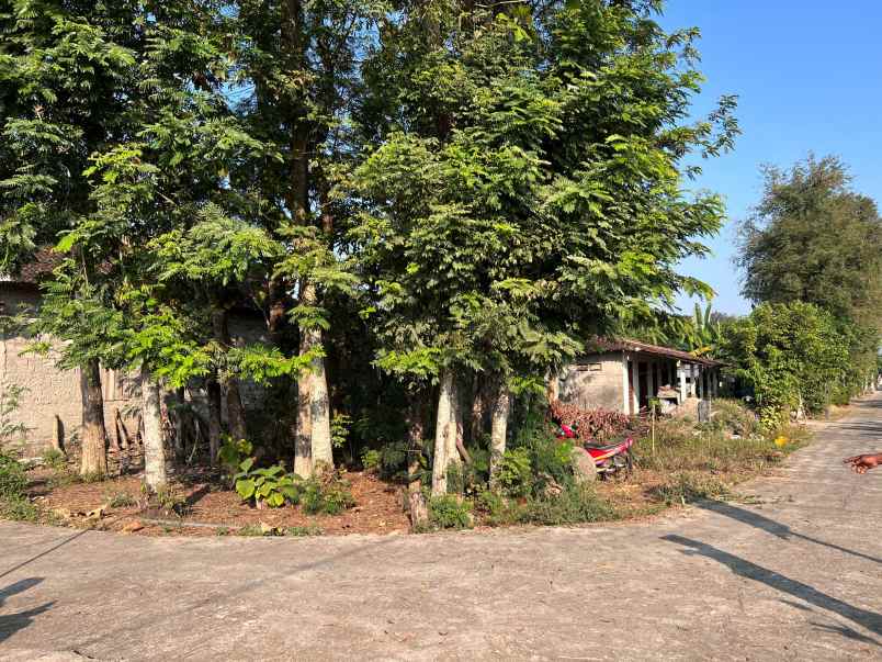 tanah karangpelem kedawung sragen