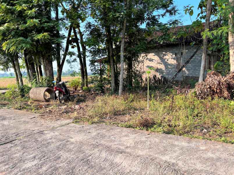 tanah karangpelem kedawung sragen