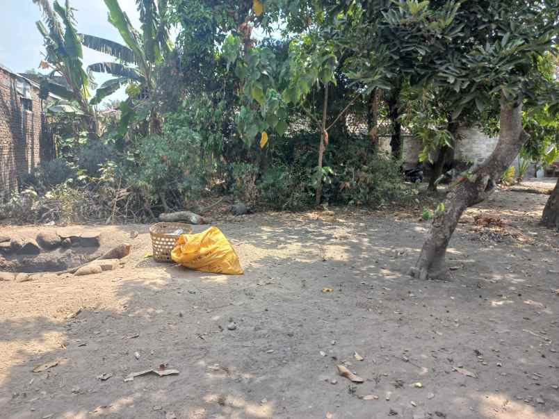 tanah kavling murah dekat rs bhayangkara di kalasan