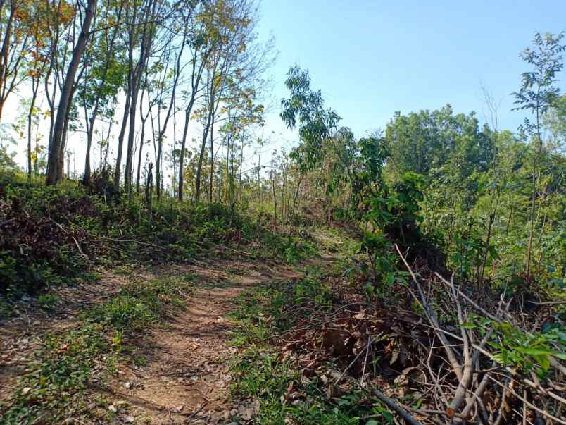 tanah kerjo karanganyar