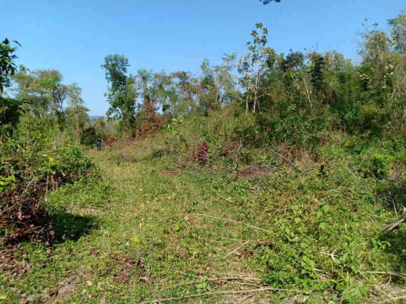 tanah kerjo karanganyar