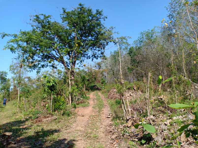 tanah kerjo karanganyar