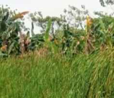 tanah komersil 2 7 ha kota bekasi