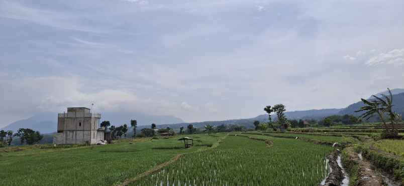 tanah luasan besar lokasi pacet daerah atas