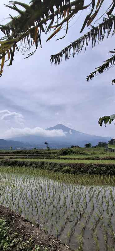 tanah luasan besar pacet 5 menit dari amanatul ummah