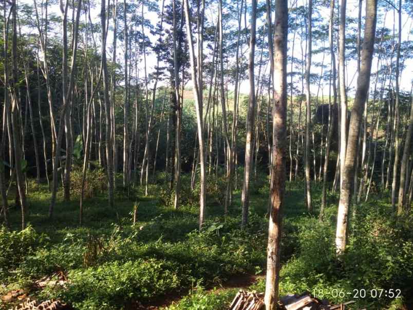 tanah mojogedang karanganyar