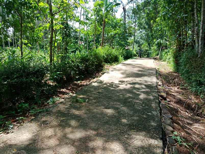 tanah mojogedang karanganyar