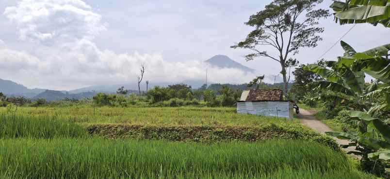 tanah murah pacet rumah mewah dengan free desain villa