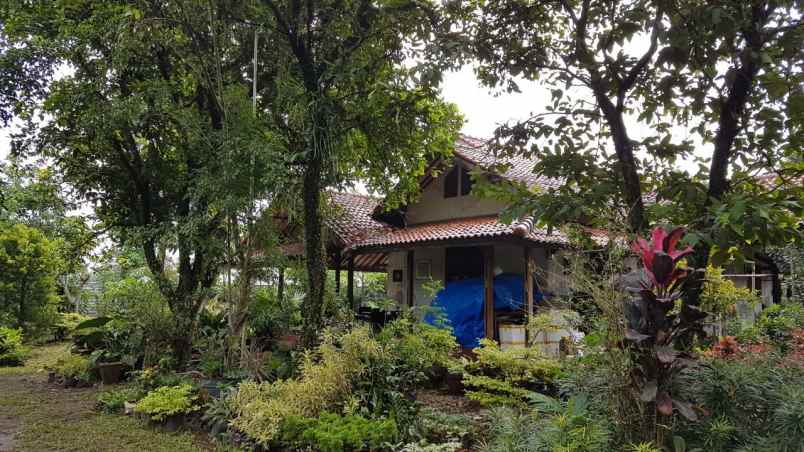 tanah pinggir jalan gratis rumah di duren seribu depok