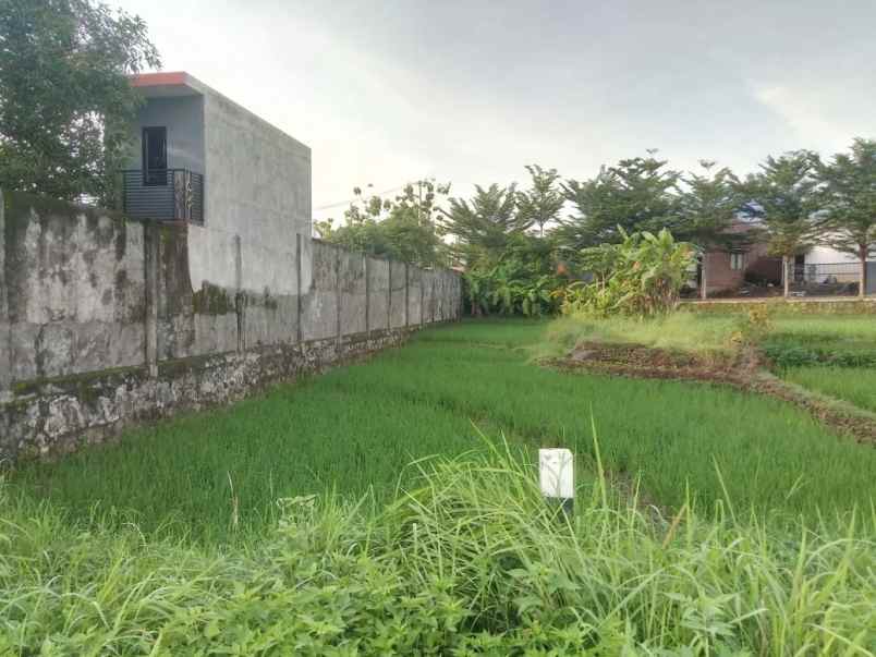 tanah sawah pinggir jln strategis