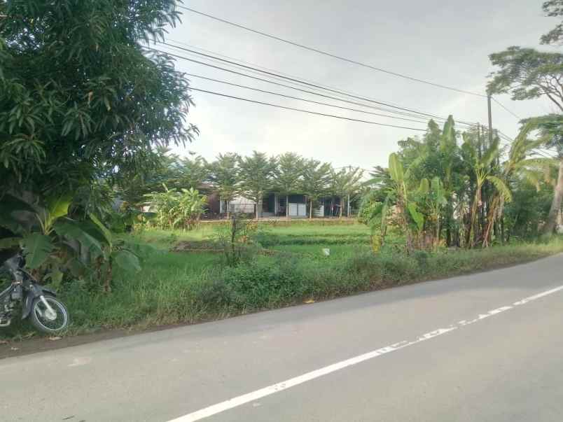 tanah sawah pinggir jln strategis