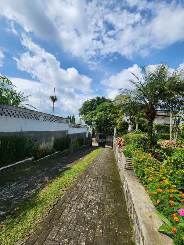 villa luas di samping istana cipanas