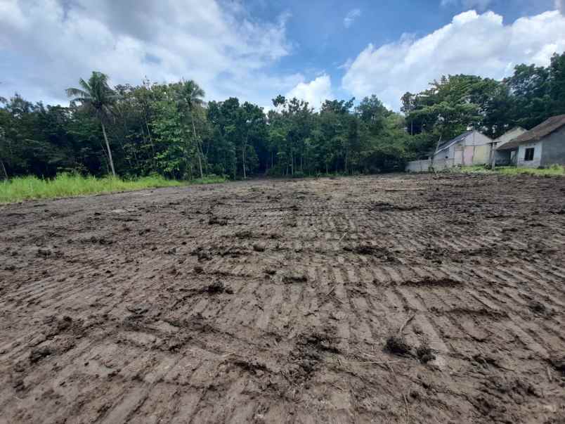 belakang kampus umy tanah kavling bantul