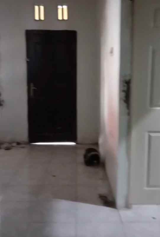 dijual kost balungbangjaya bogor barat