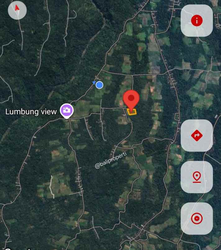 dijual lahan kebun view sawah di desa lumbung