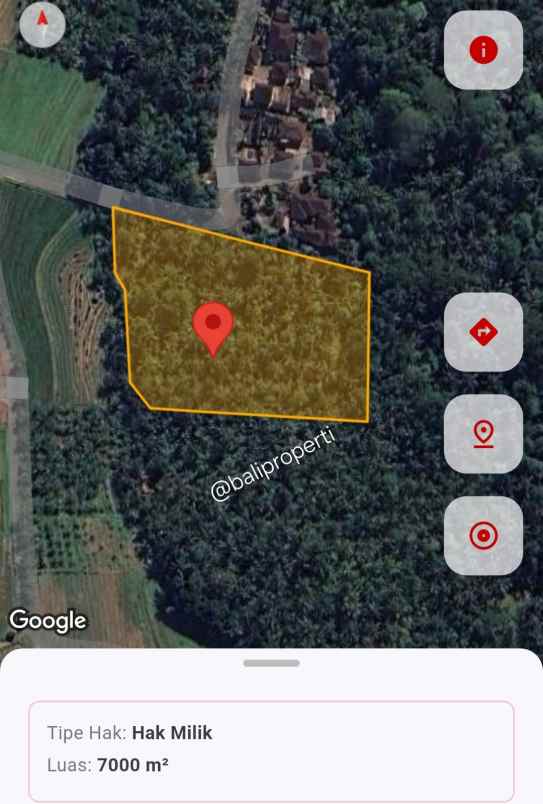 dijual lahan kebun view sawah di desa lumbung
