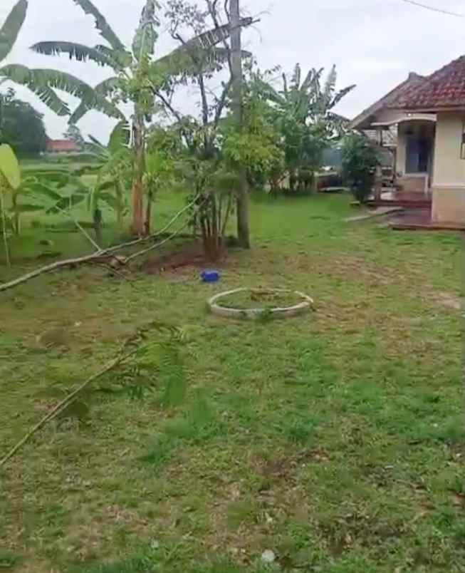 dijual rumah tanah sangat luas di beber cirebon