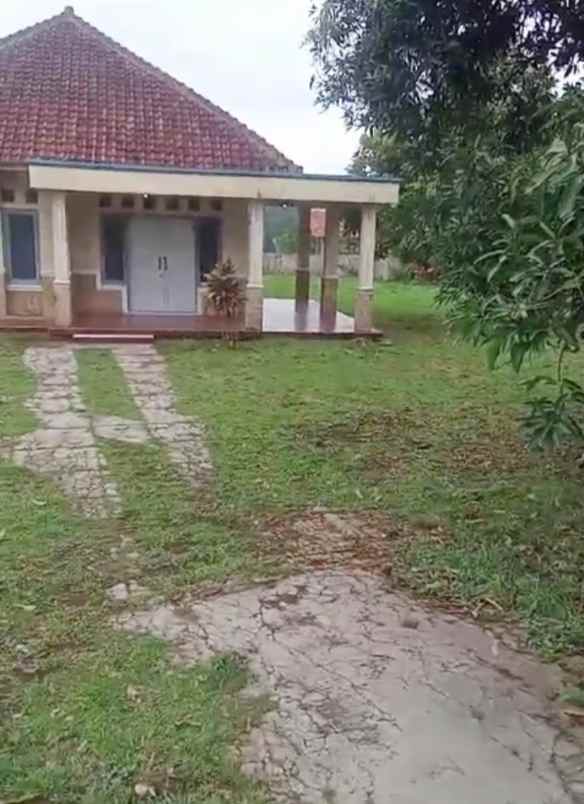 dijual rumah tanah sangat luas di beber cirebon