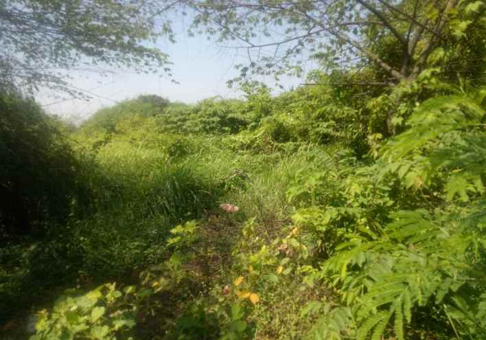 dijual tanah 3 3 hektar cikarang timur