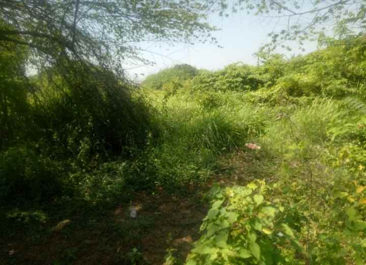 dijual tanah 3 3 hektar cikarang timur