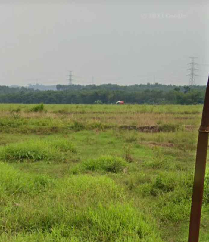 dijual tanah 52 hektar karawang barat