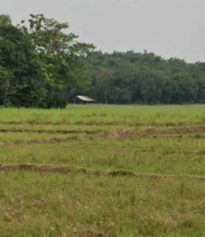 dijual tanah 52 hektar karawang barat