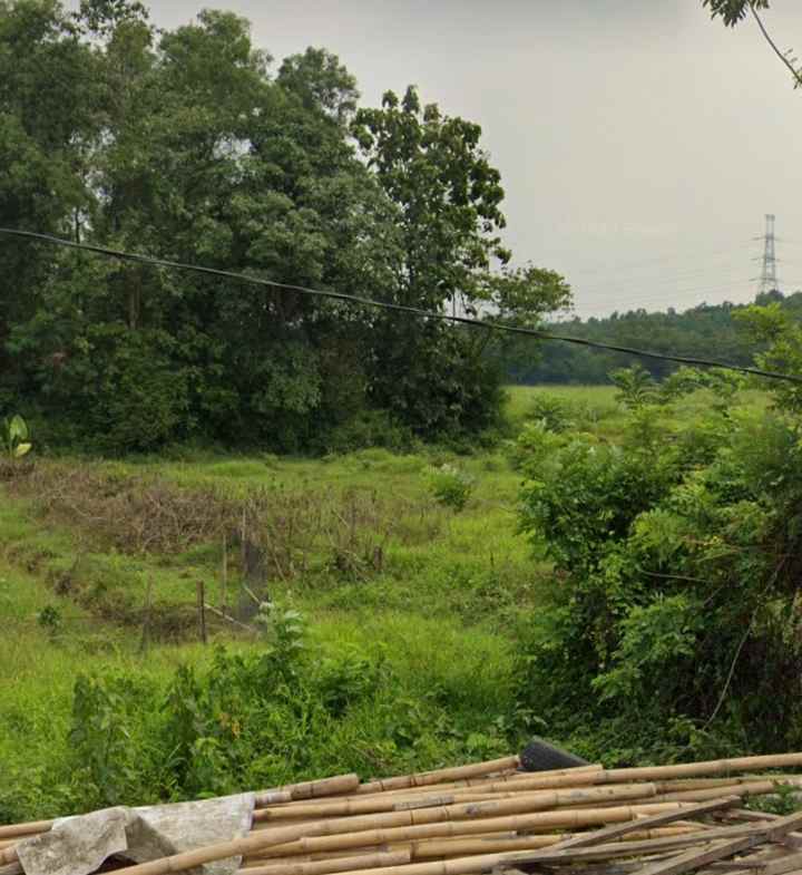 dijual tanah 52 hektar karawang barat