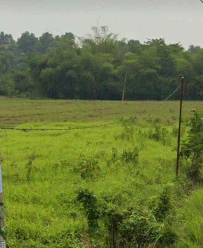 dijual tanah 52 hektar karawang barat