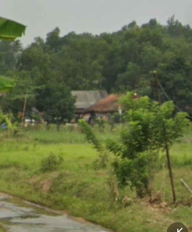 dijual tanah 52 hektar karawang barat