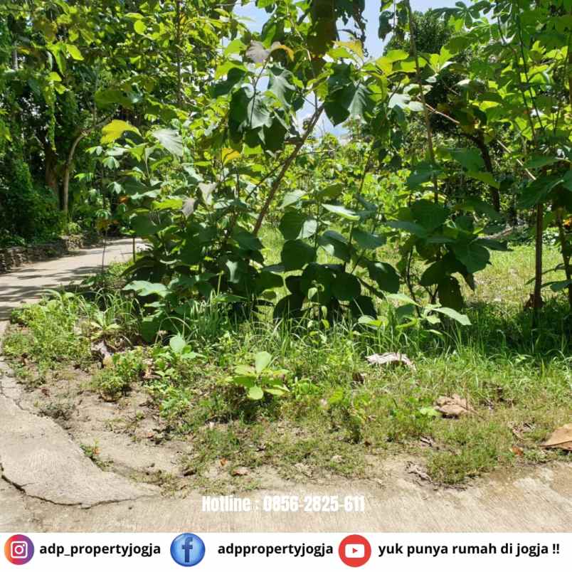 dijual tanah bambanglipuro bantul