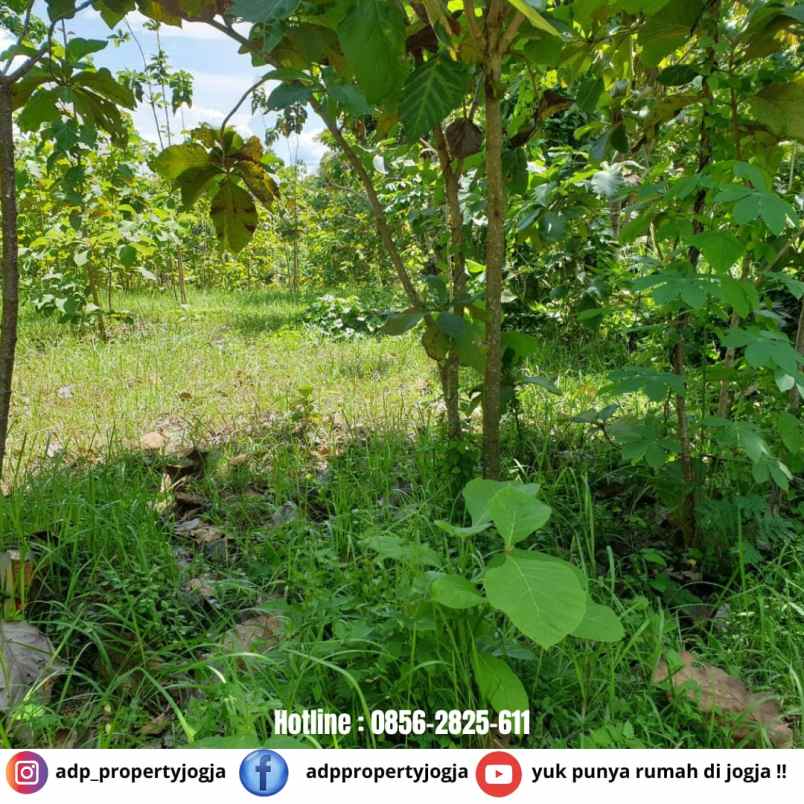 dijual tanah bambanglipuro bantul