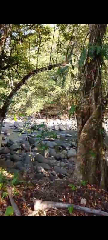 dijual tanah banjar dinas munduk desa