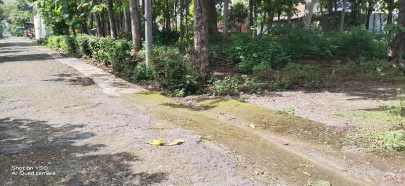 dijual tanah batujamus sragen