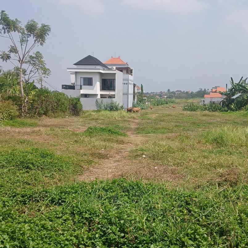 dijual tanah bypass soekarno