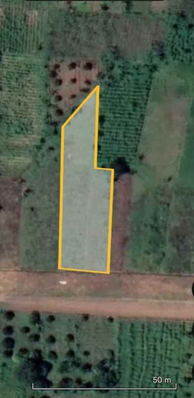 dijual tanah cisantana