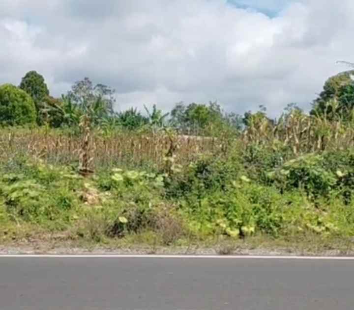 dijual tanah cisantana