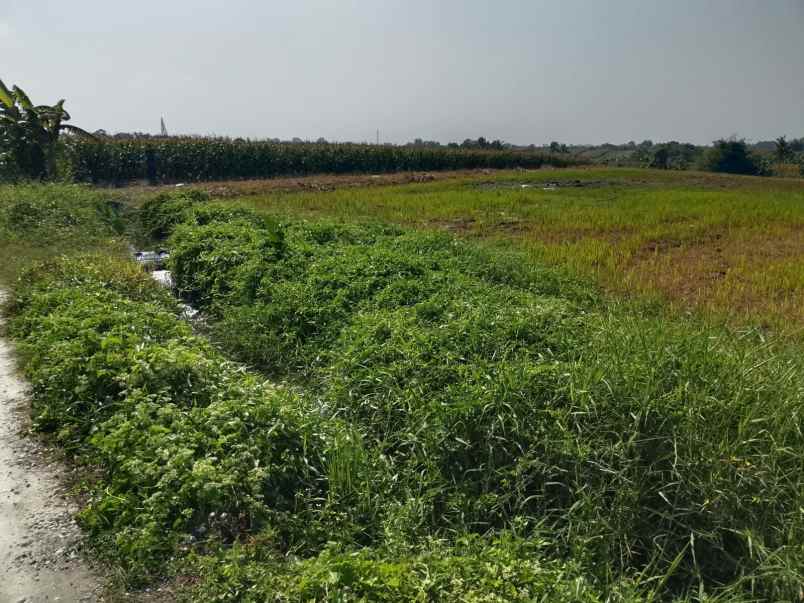 dijual tanah dengan view sawah dan pegunungan