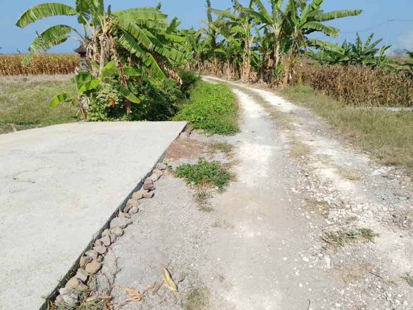 dijual tanah dengan view sawah dan pegunungan