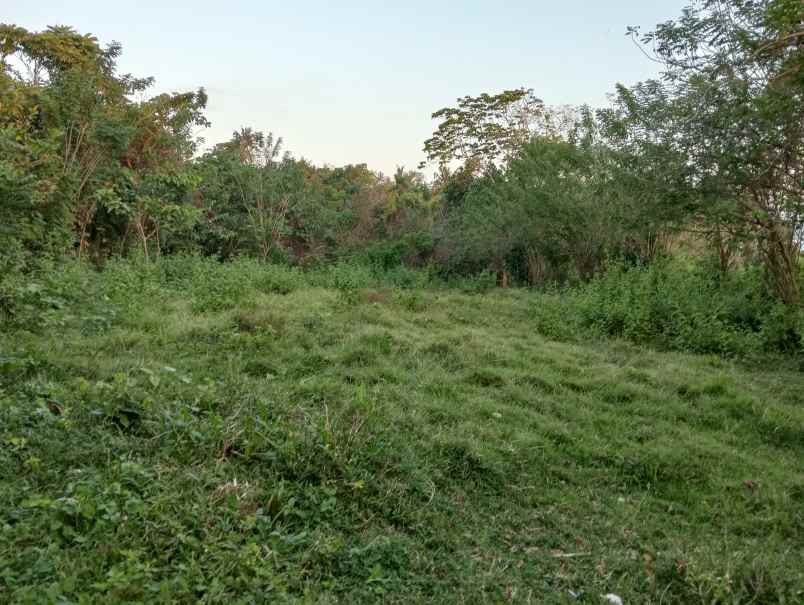 dijual tanah desa antap kec selemadeg