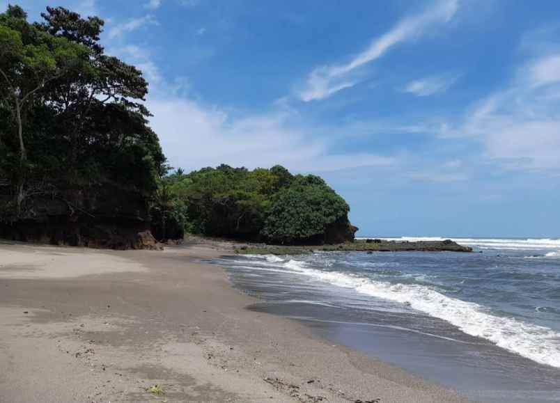 dijual tanah desa antap kec selemadeg