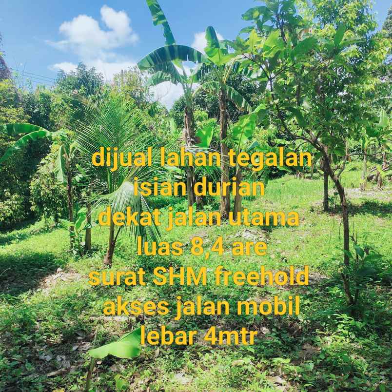 dijual tanah desa antosari kec