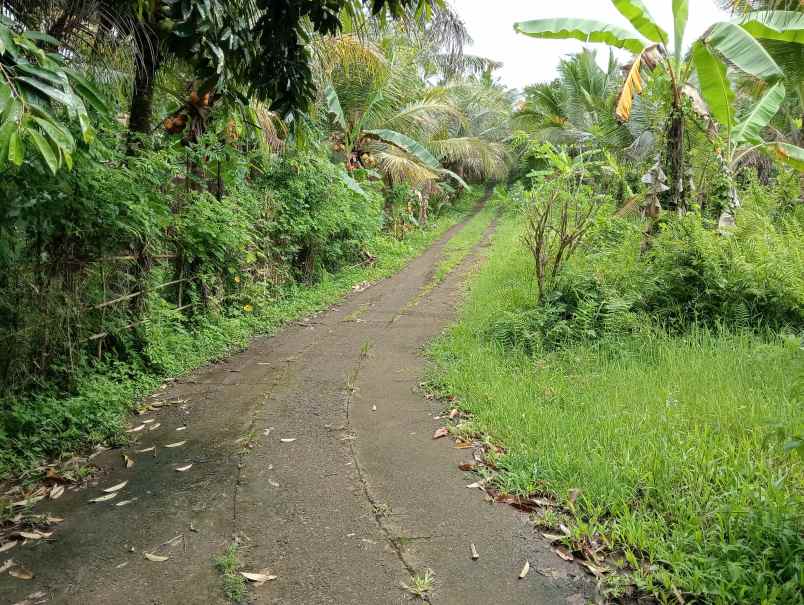 dijual tanah desa antosari kec