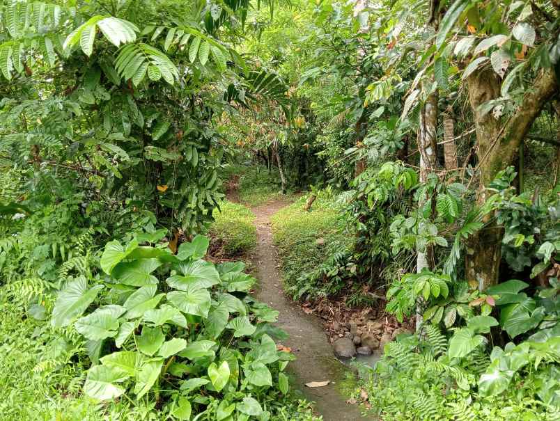 dijual tanah desa antosari kec