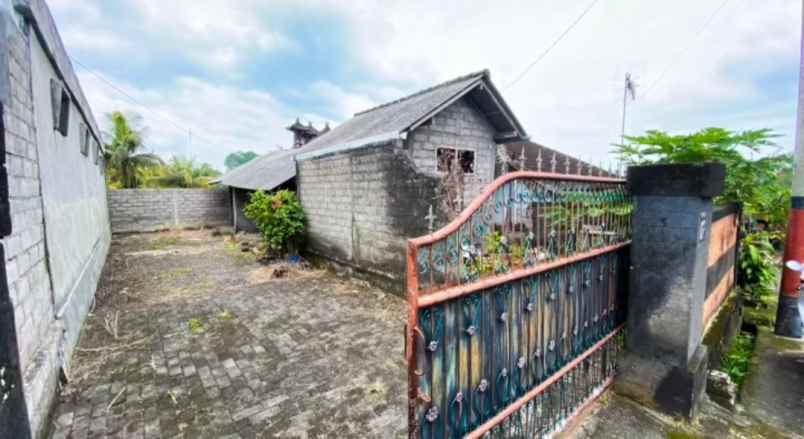 dijual tanah desa bajra kec selemadeg