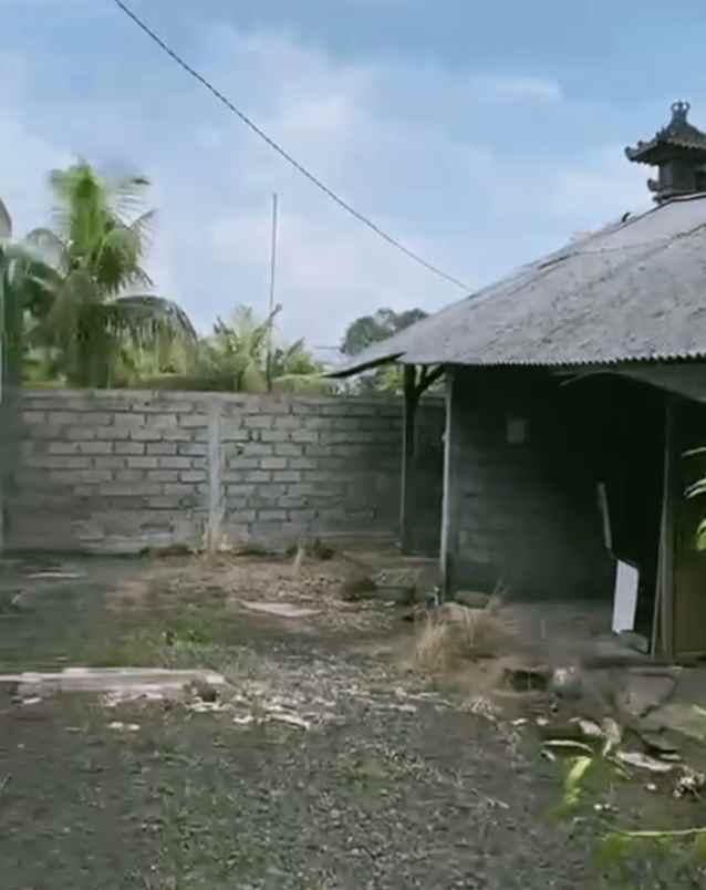 dijual tanah desa bajra kec selemadeg