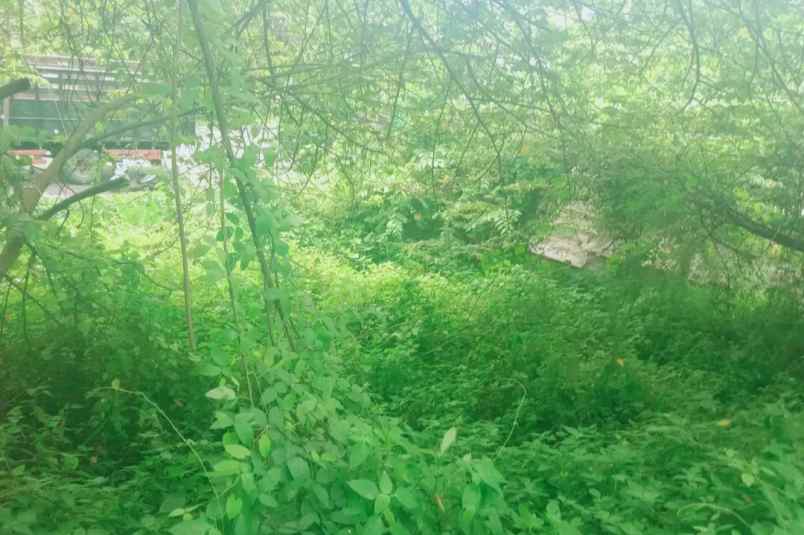 dijual tanah desa bajra kec selemadeg